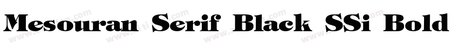 Mesouran Serif Black SSi Bold Italic字体转换